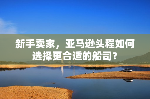 新手卖家，亚马逊头程如何选择更合适的船司？