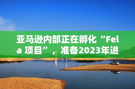 亚马逊内部正在孵化“Fela 项目”，准备2023年进入非洲市场，我们准备好了吗？