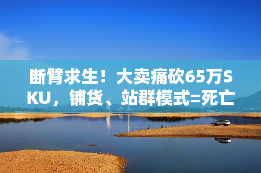 断臂求生！大卖痛砍65万SKU，铺货、站群模式=死亡陷阱？