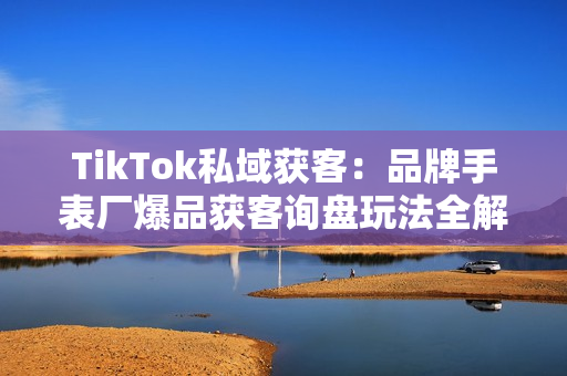 TikTok私域获客：品牌手表厂爆品获客询盘玩法全解析！