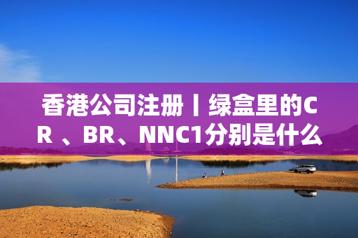 香港公司注册丨绿盒里的CR 、BR、NNC1分别是什么文件？