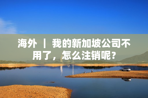 海外 ｜ 我的新加坡公司不用了，怎么注销呢？