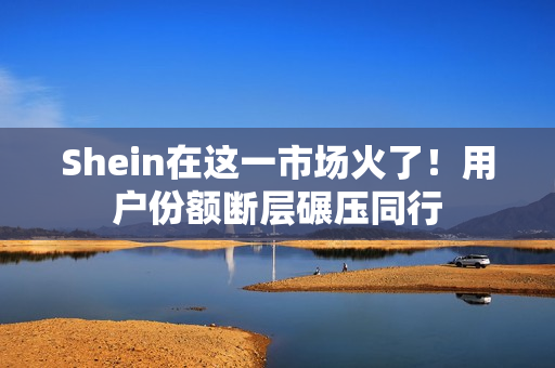 Shein在这一市场火了！用户份额断层碾压同行