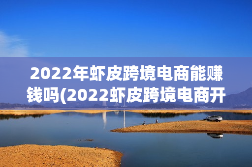 2022年虾皮跨境电商能赚钱吗(2022虾皮跨境电商开店流程及费用)