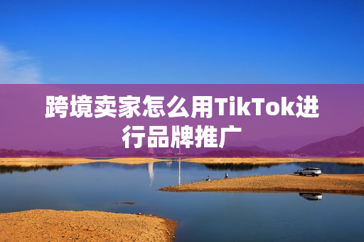 跨境卖家怎么用TikTok进行品牌推广