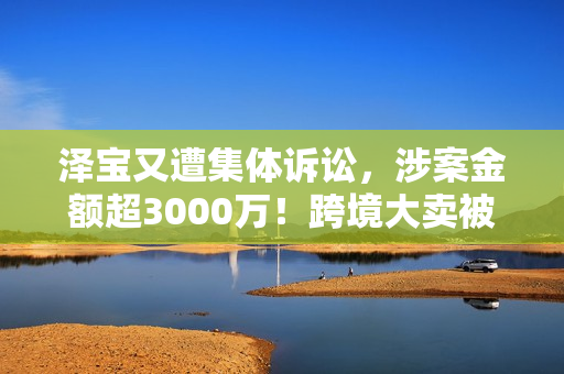 泽宝又遭集体诉讼，涉案金额超3000万！跨境大卖被美国人讹钱了？