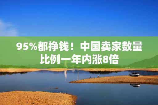 95%都挣钱！中国卖家数量比例一年内涨8倍