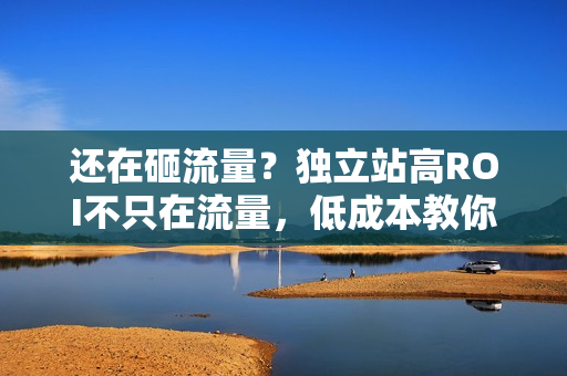 还在砸流量？独立站高ROI不只在流量，低成本教你提高转化