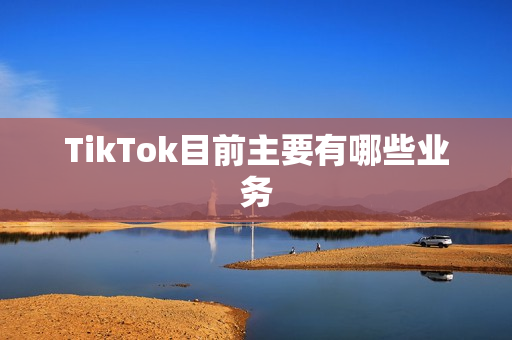 TikTok目前主要有哪些业务