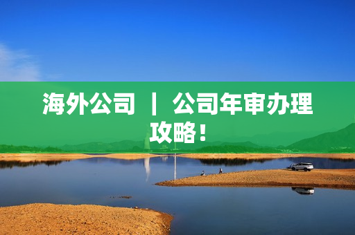 海外公司 ｜ 公司年审办理攻略！