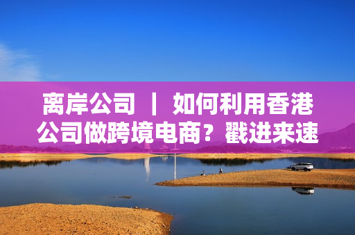 离岸公司 ｜ 如何利用香港公司做跨境电商？戳进来速速Get！