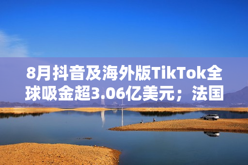 8月抖音及海外版TikTok全球吸金超3.06亿美元；法国超市商品涨价严重