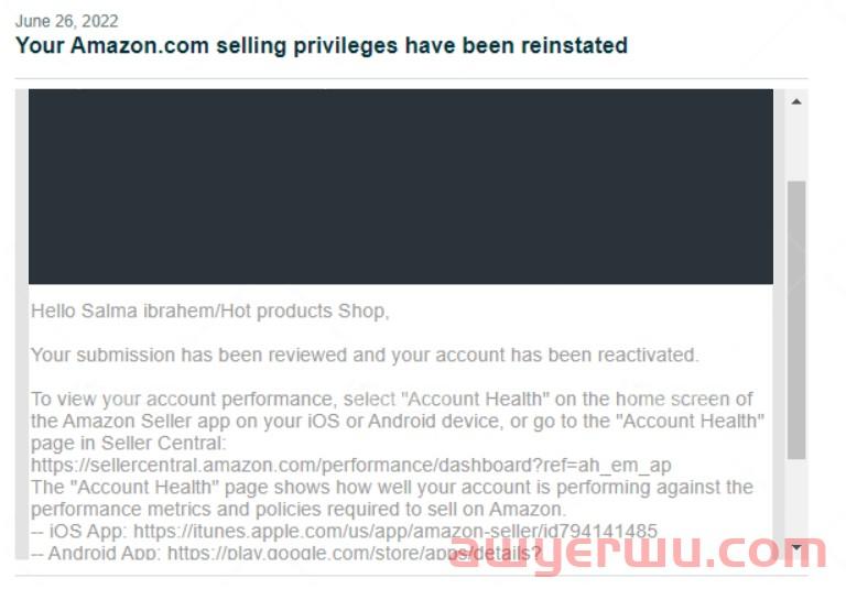 账号误封！余额划空！亚马逊卖家如何在封号潮中绝地求生？ 第5张