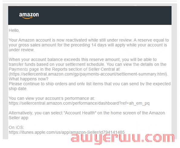 账号误封！余额划空！亚马逊卖家如何在封号潮中绝地求生？ 第4张