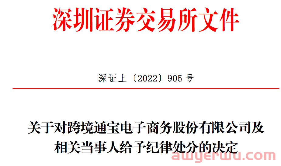 深圳跨境电商大卖高管被处分！财务问题突出 第1张