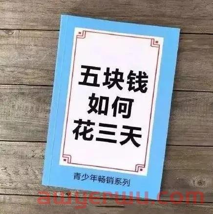 90后亚马逊打工人都有多少存款？有人余额10万，有人负债95万... 第1张