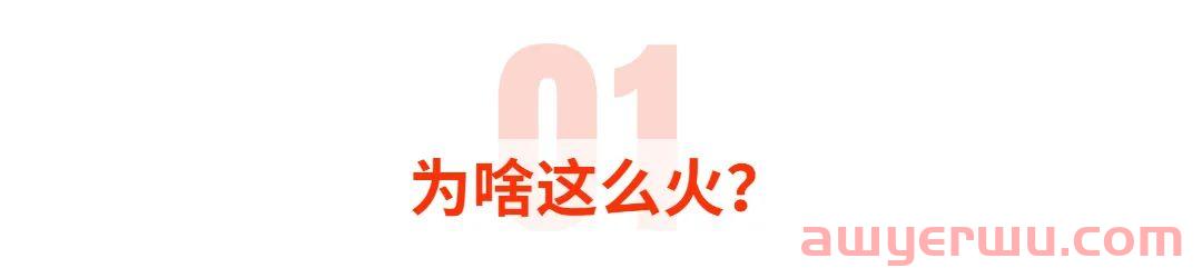 真香！这款中国产品在欧洲卖爆！订单铺天盖地涌入 第2张