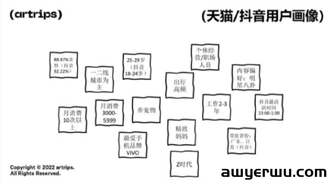 一年狂销千万！箱包品牌artrips的出海突围之路 第1张