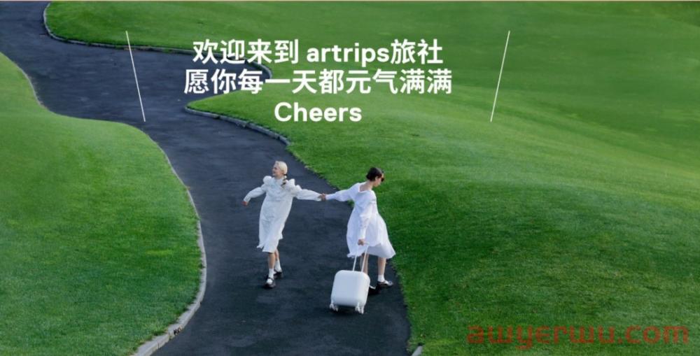 一年狂销千万！箱包品牌artrips的出海突围之路 第11张