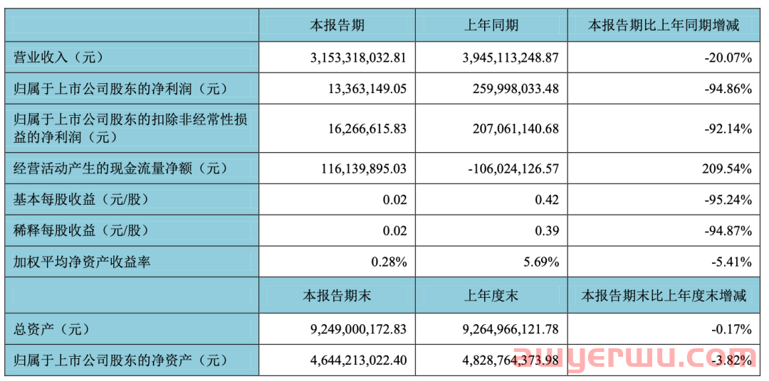 净利惨跌90%！欧洲站BSR大卖要靠这个产品翻身？ 第2张