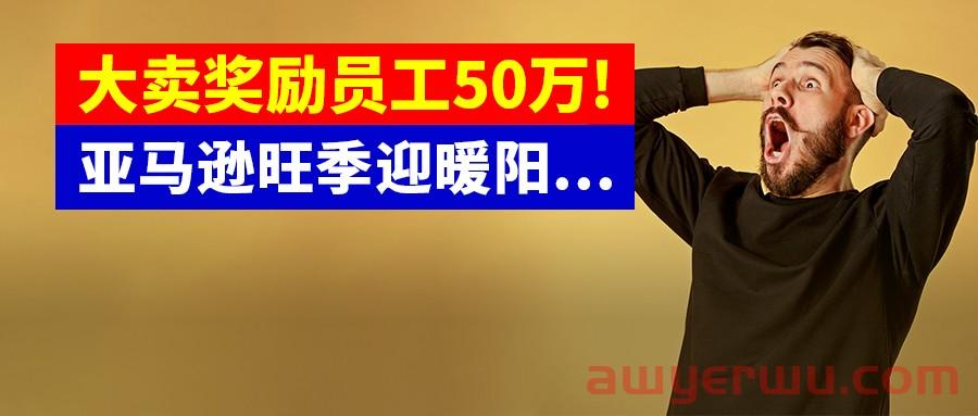 旺季销售额5100万!利润提升10个点！大卖奖励员工50万!亚马逊卖家破寒冬、迎暖阳！ 第1张