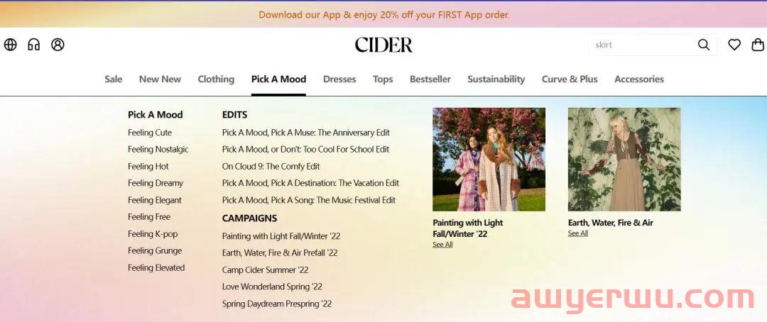估值10亿美元，快时尚黑马Cider如何俘获Z世代女孩的芳心？ 第8张