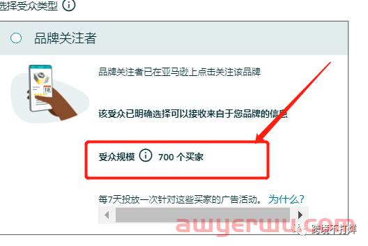亚马逊买家互动精准定位受众新功能 第3张