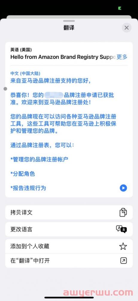 手把手教你如何做亚马逊品牌备案 第13张