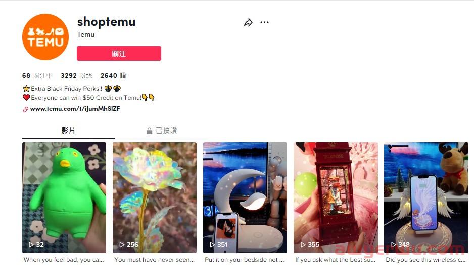 海外版拼多多 Temu， 能