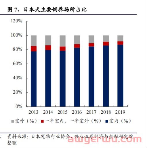 寒冬将“它经济”带回风口？海外铲屎官都在买什么宠物用品 第5张