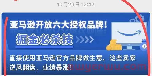 亚马逊宣布停止品牌加速器和第三方销售伙伴授权品牌”两个项目，单方面毁约引卖家震怒！但也有人叫好？ 第1张