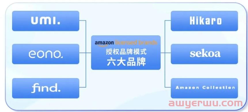 亚马逊取消品牌授权？中国卖家损失过亿！！卖家开始维权…… 第2张