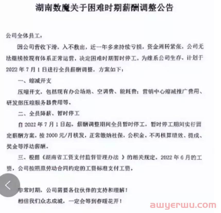 太难了！跨境知名企业数魔疑跨境似暂停营业 第3张