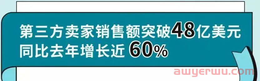 第三方卖家销售占比60%！亚马逊官方旺季总结来了 第2张