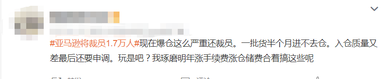 市值暴跌1万亿美元后，亚马逊又裁员1.8万余人，这波风暴正在席卷卖家！ 第3张