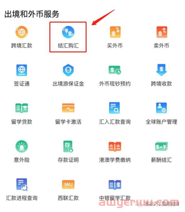 结汇与购汇的区别是什么 第3张